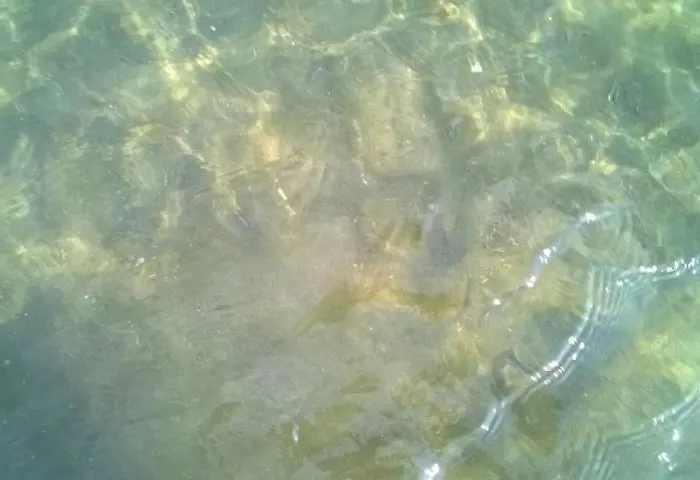 Hotel Dei Principi 3*